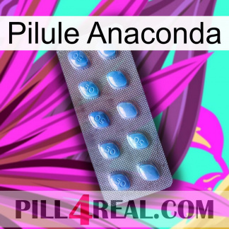 Anaconda Pill viagra3